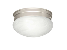  8206NI - Flush Mount 1Lt (12 pack)