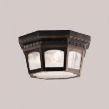  9538RZ - Outdoor Ceiling 3Lt