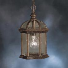  9835TZ - Outdoor Pendant 1Lt