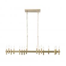  357N16BB - Collette 16-Lt Linear Pendant - Antique Brass