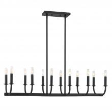  BAI-A2112-MK - Bailey 12 Light Matte Black Linear Chandelier