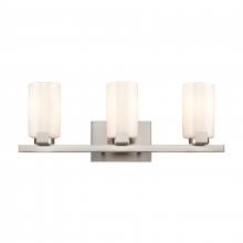  EC89914/3 - Dressler 22'' Wide 3-Light Vanity Light - Brushed Nickel