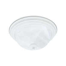  SL869218 - FLUSH MOUNT