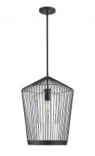  342P19-MB - 1 Light Pendant