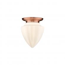  221-1F-AC-G661-12 - Beacon - 1 Light - 14 inch - Antique Copper - Flush Mount