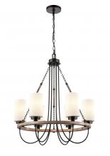  442-6CR-BK-W - Paladin - 6 Light - 25 inch - Matte Black - Chain Hung - Chandelier