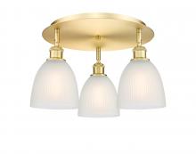  516-3C-SG-G381 - Castile - 3 Light - 18 inch - Satin Gold - Flush Mount