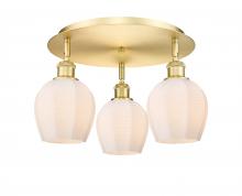  516-3C-SG-G461-6 - Norfolk - 3 Light - 18 inch - Satin Gold - Flush Mount