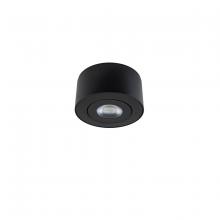  FM-W44205-35-BK - I Spy Outdoor Flush Mount Light