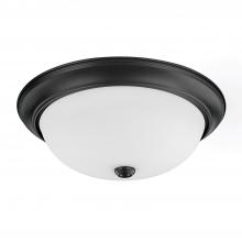  214731MB - 3 Light Flush Mount