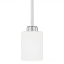  315211BN-338 - 1 Light Pendant