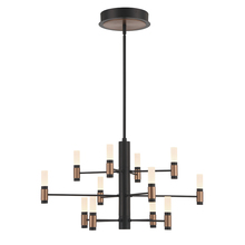  46353-016 - Albany 12 Light Chandelier in Black and Brass