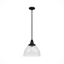  19249 - Hunter Cypress Grove Natural Black Iron with Clear Holophane Glass 1 Light Pendant Ceiling Light