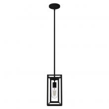  19755 - Hunter Doherty Natural Black Iron 1 Light Mini Pendant Ceiling Light Fixture