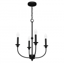  19638 - Hunter Southcrest Matte Black 4 Light Mini Chandelier Ceiling Light Fixture