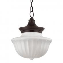  5015-OB - 2 LIGHT LARGE PENDANT