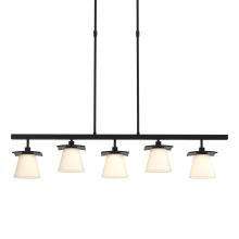  136605-SKT-LONG-10-GG0242 - Wren 5 Light Pendant