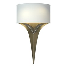  205315-SKT-84-SF1092 - Calla Sconce