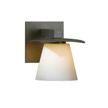  206601-SKT-07-GG0242 - Wren 1 Light Sconce