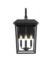  OD502W22BK - Riggs 11 inch Outdoor Wall Sconce in Black