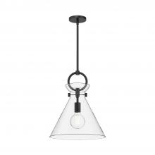  PD412514MBCL - Emerson 14-in Matte Black/Clear Glass 1 Light Pendant