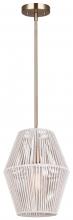  IPL1120A01GD - WILLOW, IPL1120A01GD, 1 Lt Rod Pendant, 60W Type A, 8.5" W x 19.5 - 61.5" H