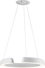  PP020016-MH - Enso Single Tier Ring Chandelier