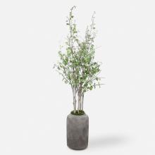  60146 - Uttermost Aldis Potted River Birch