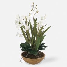  60039 - Uttermost Moth Orchid Planter