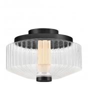  FR41463BK - Small LED Flush Mount